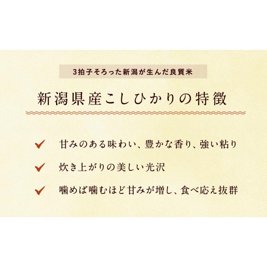 新潟県産 コシヒカリ 20kg(5kg×4袋)送料無料 令和7年 お米 米（北海道別途送料/沖縄・離島対応不可)_4