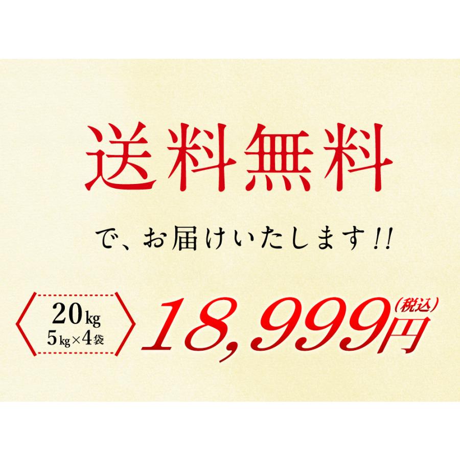 新潟県産 コシヒカリ 20kg(5kg×4袋)送料無料 令和7年 お米 米（北海道別途送料/沖縄・離島対応不可)_5