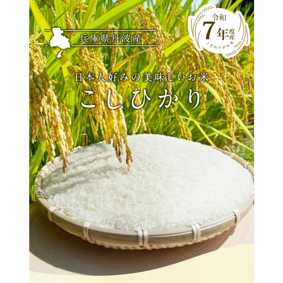 丹波産（兵庫県）コシヒカリ10kg（5kg×2袋） 送料無料 令和7年産 お米