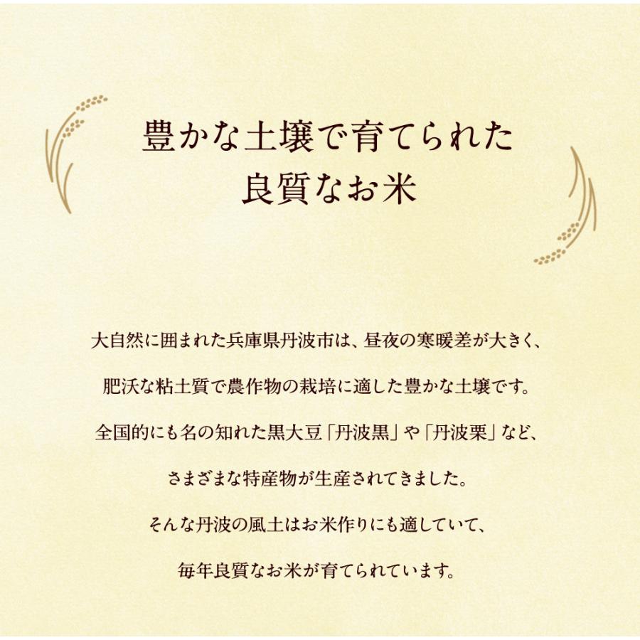 無洗米 丹波産（兵庫県）コシヒカリ20kg（5kg×4袋）/ 送料無料 令和5年産 お米 丹波産  兵庫県産 （北海道・沖縄別途送料）（配達日・時間指定は不可）｜halloday｜03