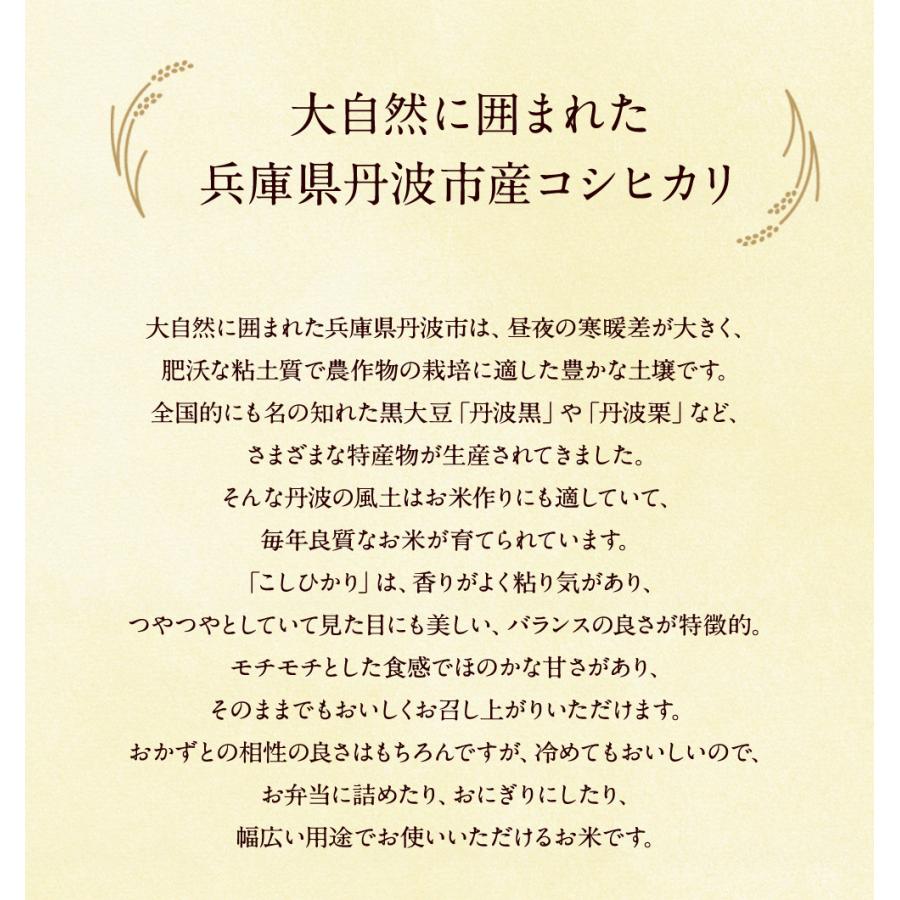 特別栽培 丹波産(兵庫県)コシヒカリ20kg（5kg×4袋） 送料無料 令和7