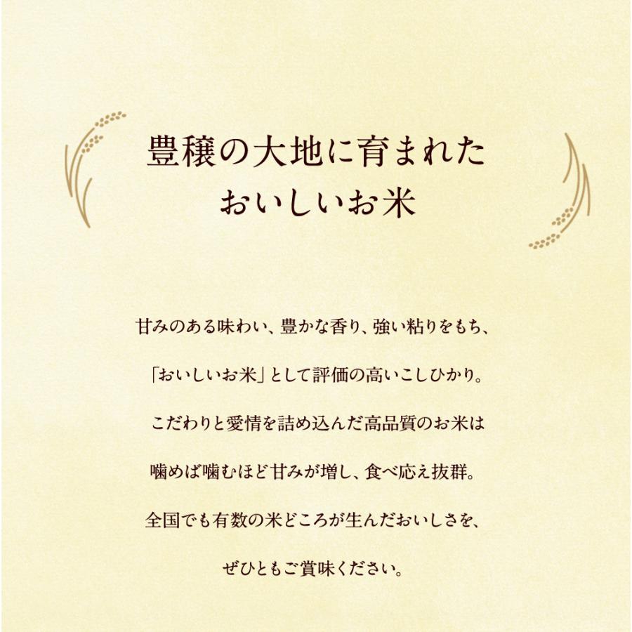 クーポンで5％OFF】茨城県産 コシヒカリ 20kg(5kg×4袋) 送料無料 令和7