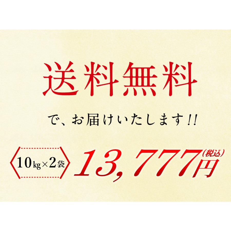 国産匠の一粒 20kg（10kg×2袋） 送料無料 複数年度産 （北海道別途送料
