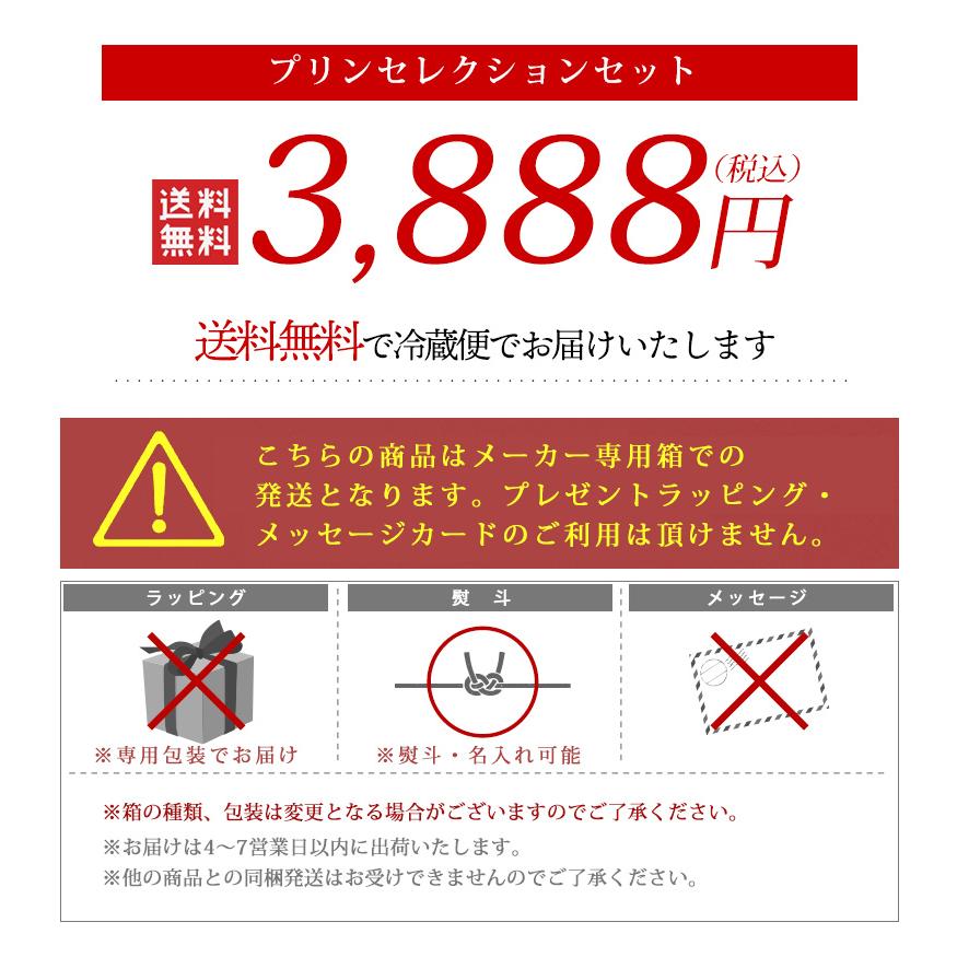 プリンセレクションセット NP-07 / 送料無料 西通りプリン 西原商会