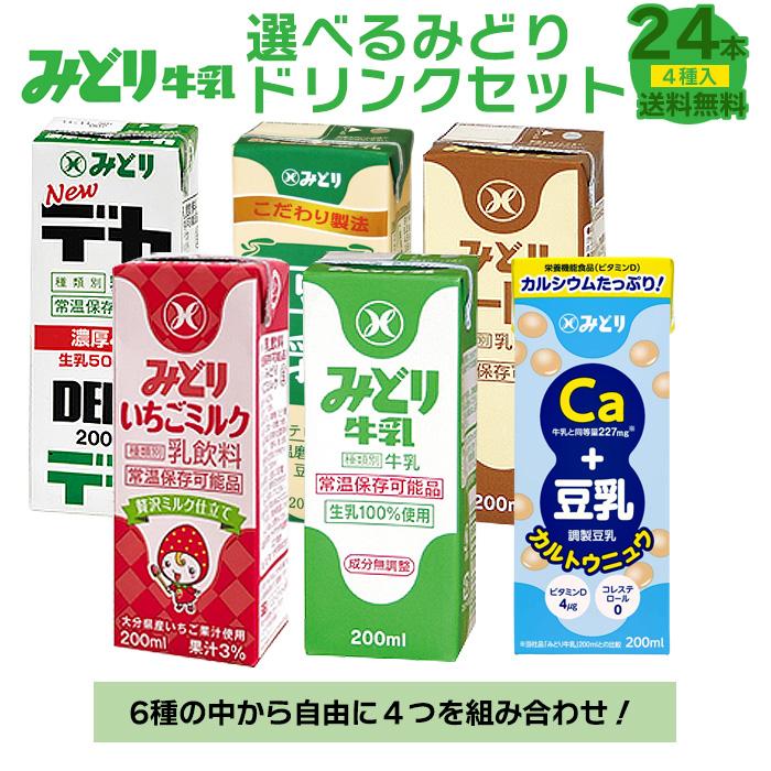 九州乳業 みどり牛乳 選べるみどりドリンクセット (4種×6本) 合計24本