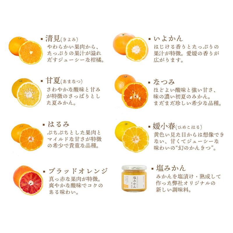 北海道別途送料8000円。ご購入ありがとうございます！ ミヤモトオレンジガーデン みかん寒天ゼリー オールスター食べ比べ