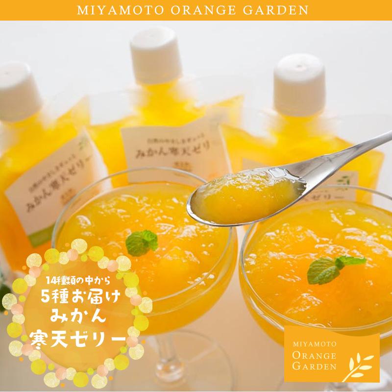 ミヤモトオレンジガーデン みかん寒天ゼリー ギフトセット5本入り 送料
