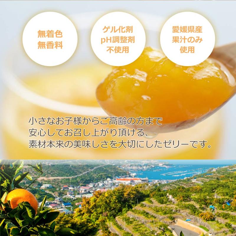 ミヤモトオレンジガーデン みかん寒天ゼリー ギフトセット5本入り 送料