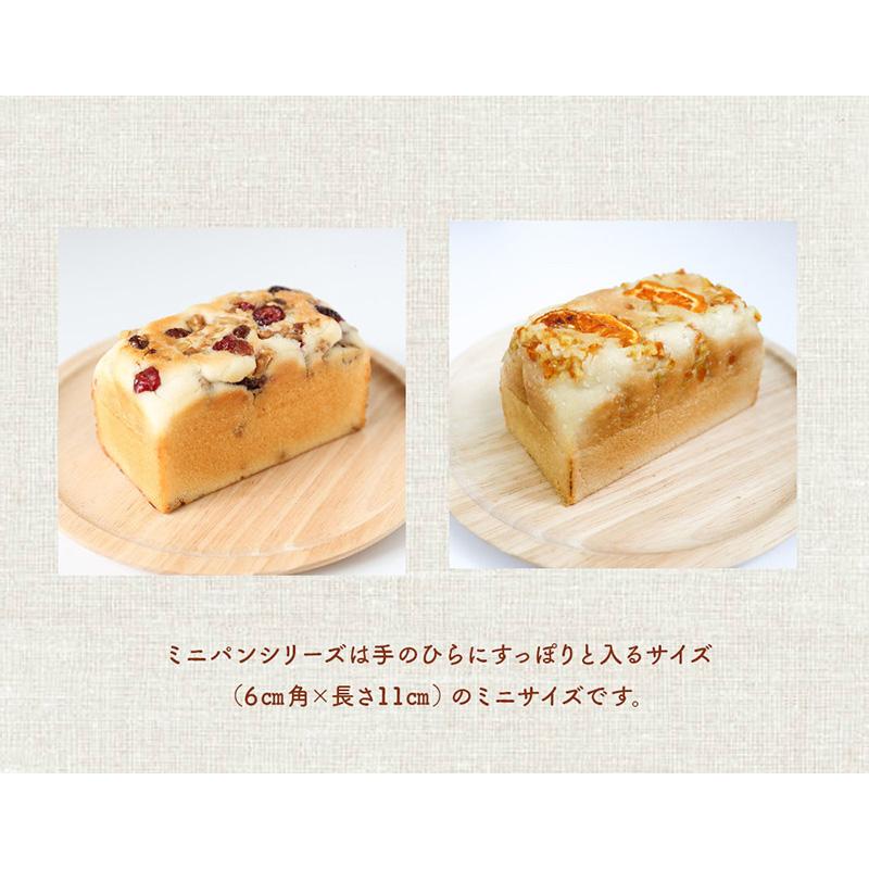 グルテンフリー 米粉パン&マフィン PON Q 厳選セット 送料無料