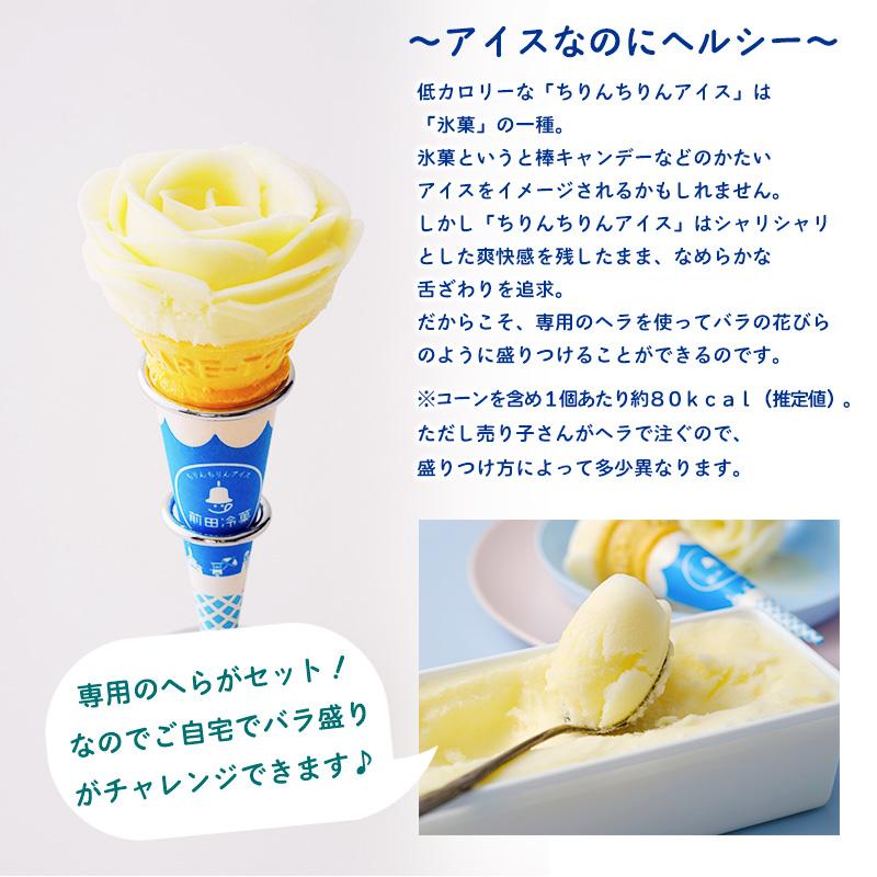 前田冷菓 ちりんちりんアイス・ファミリーセット（プレーン）送料無料