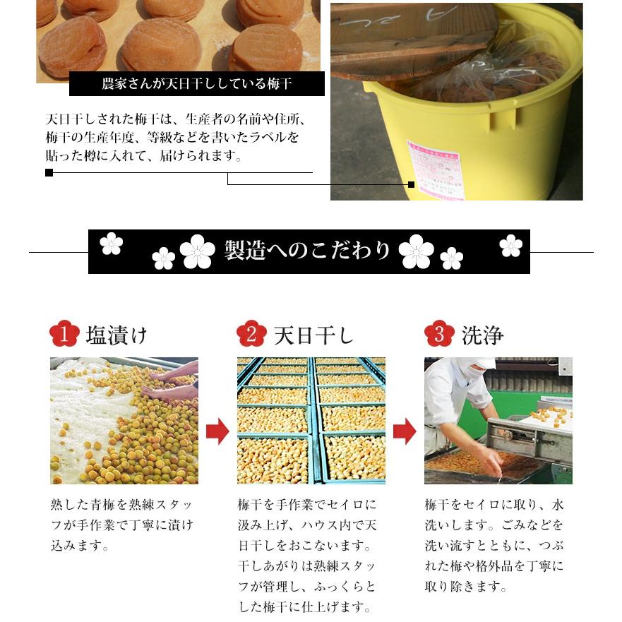 選べる3タイプ 紀州綜合食品 紀州南高つぶれ梅 12個セット 送料無料