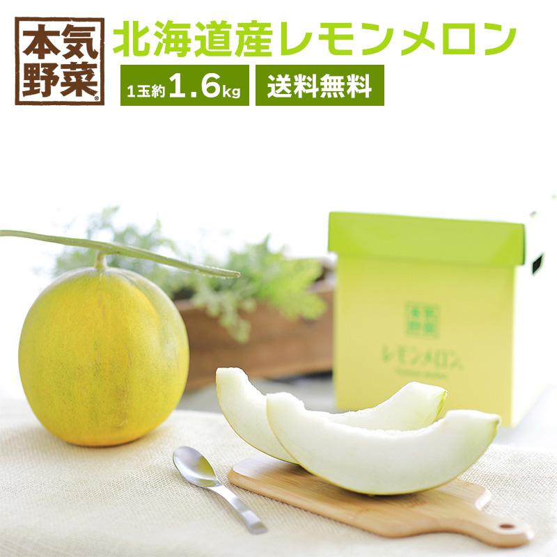 クーポンで333円OFF】北海道産レモンメロン (1玉約1.6kg) サントリー