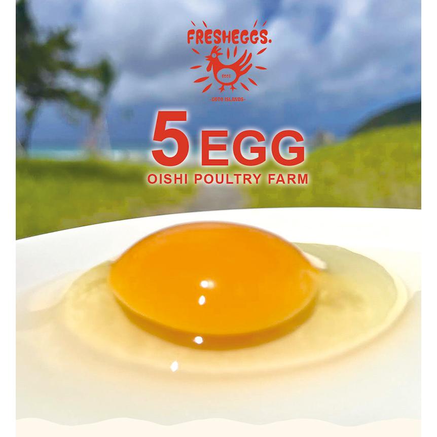 今だけ111円OFF】5EGG（平飼たまご） ギフトBOX（20個入） 送料無料