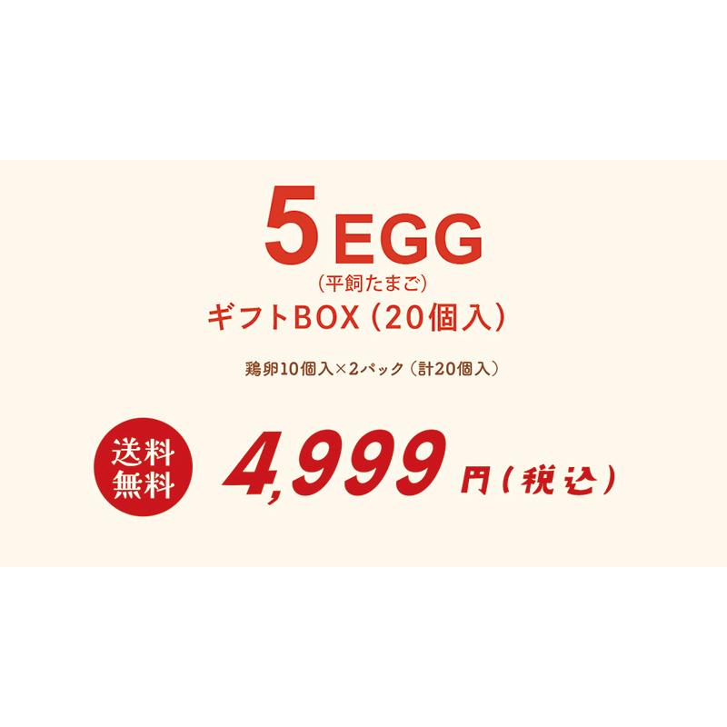 5EGG（平飼たまご） ギフトBOX（20個入） 送料無料 たまご 卵 生卵