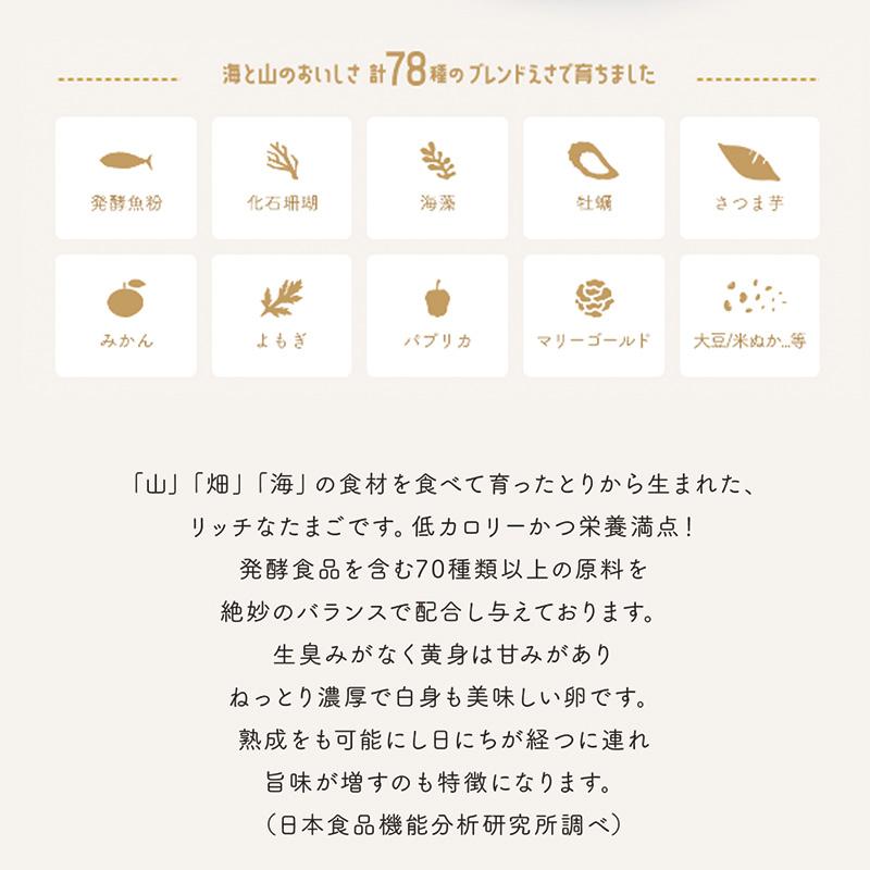 今だけ111円OFF】幸せの愛でたまごセット 送料無料 30個入り 10個×3P