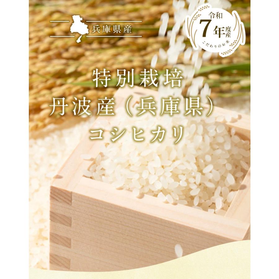 特別栽培 丹波産(兵庫県)コシヒカリ30kg（5kg×6袋） 送料無料 令和7 