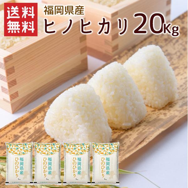 減農薬米】ヒノヒカリ 新米 20キロ 2025年産 令和7年 大分産 米 楽天