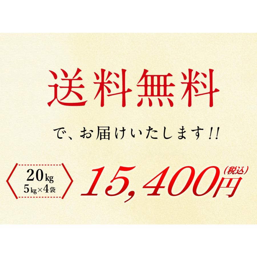 令和7年 福岡県産ヒノヒカリ 20kg (5kg×4袋) 送料無料 お米 米 ひのひかり (北海道別途送料/沖縄・離島対応不可)(配達日・時間指定は不可となります。）_5