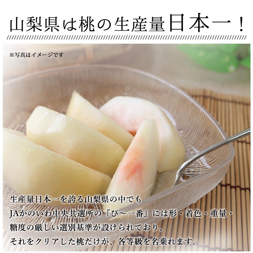 山梨県産 ぴ〜 一番桃 約2Kg（6玉） 送料無料 数量限定 フルーツ も