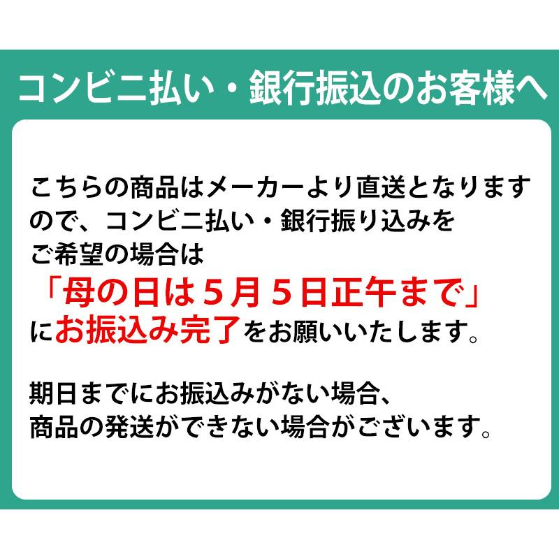 ホシファーム　カーネーション＆三源庵お匙で食べる半熟抹茶かすてら / 送料無料 京風パンデロー 半熟カステラ 抹茶 母の日（北海道・沖縄別途送料）｜halloday｜07