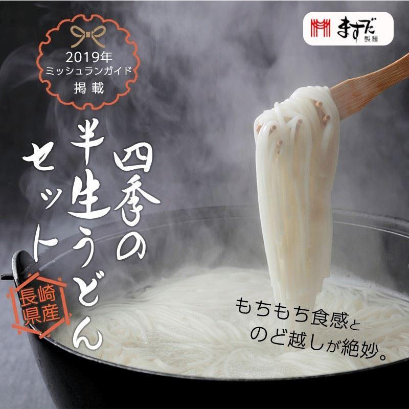 送料無料 四季の半生うどんセット 日本三大うどん ますだ製麺 地獄炊き