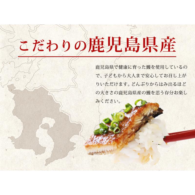 鹿児島産 うなぎ蒲焼 3尾 （1尾170g前後）/ 送料無料 無頭 国産 国内産 土用丑の日 薩摩川内鰻 / 母の日 父の日 プレゼント 食べ物（北海道・沖縄別途送料）｜halloday｜03