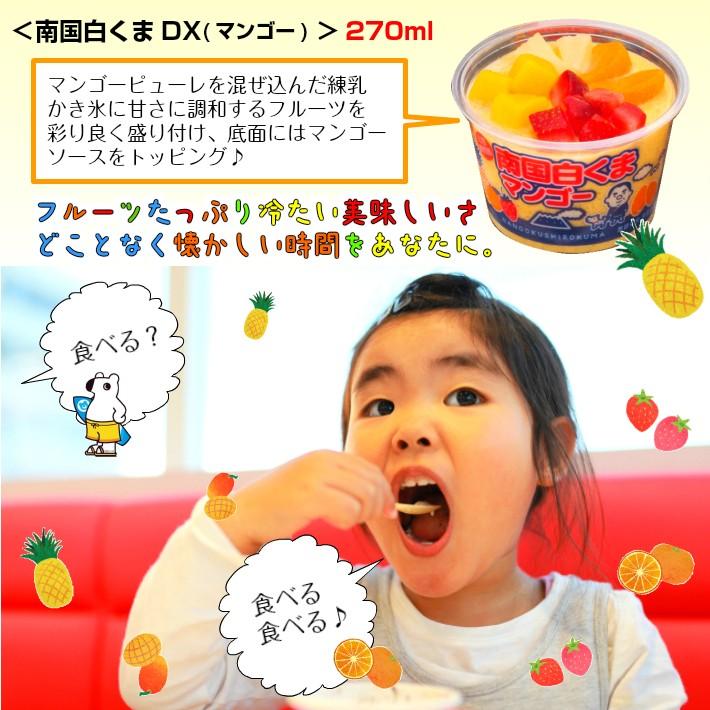 送料無料 南国白くまdx詰合せギフト マンゴー 詰合せセット アイスクリーム アイス ラクトアイス マンゴー 鹿児島県 ご当地アイス かき氷 練乳 L 108 ハローデイ ヤフーショップ 通販 Yahoo ショッピング