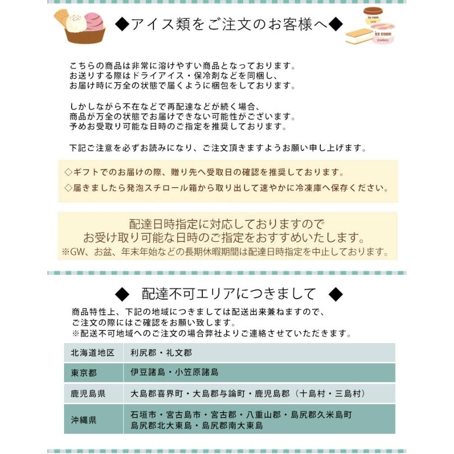 南国白くまDX詰合せ（SDX-38） 送料無料 アイスクリーム かき氷 練乳