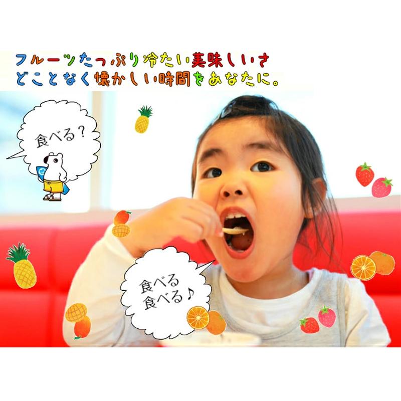 南国白くまDX詰合せ（SDX-38） 送料無料 アイスクリーム かき氷 練乳