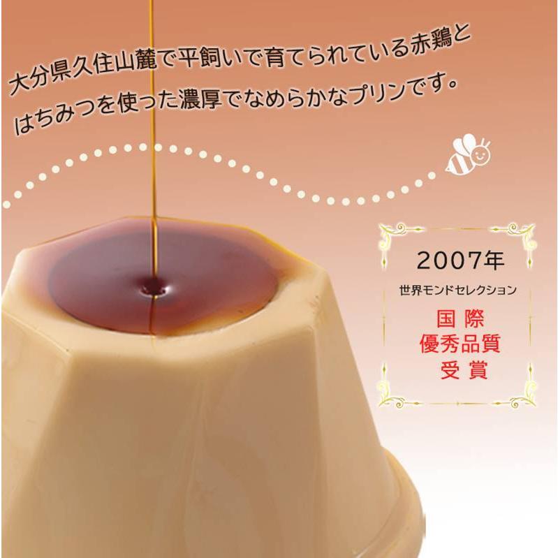 送料無料 地卵はちみつぷりん9個 大分 湯布院 菊家 はちみつ おおいた