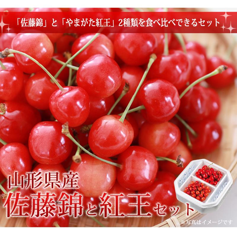 送料無料 数量限定 山形県 佐藤錦と紅王セット （佐藤錦300ｇ+紅王300ｇ） / チェリー 旬 フルーツ 高級 サクランボ さくらんぼ【6月15日以降順次発送】｜halloday｜02