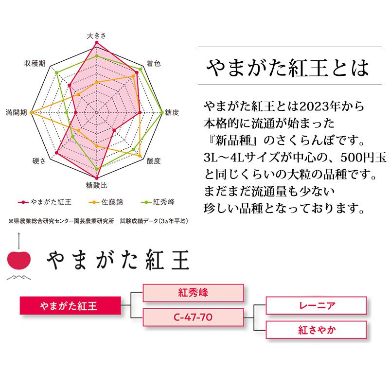 送料無料 数量限定 山形県 佐藤錦と紅王セット （佐藤錦300ｇ+紅王300ｇ） / チェリー 旬 フルーツ 高級 サクランボ さくらんぼ【6月15日以降順次発送】｜halloday｜04