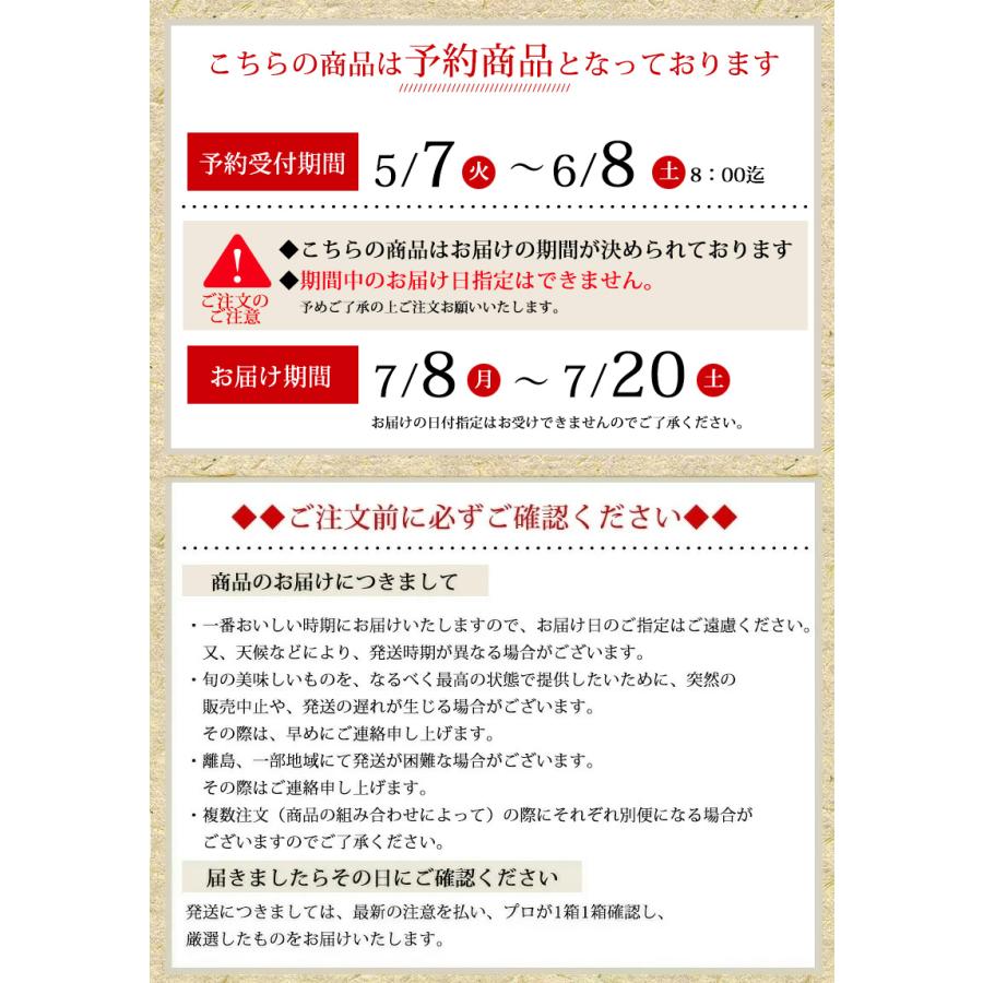 送料無料 岡山県産  白桃（ご家庭用）6玉入り（約1.3ｋｇ）/フルーツ　もも　白桃　岡山県産【常温発送】【7月8日以降順次発送】｜halloday｜06