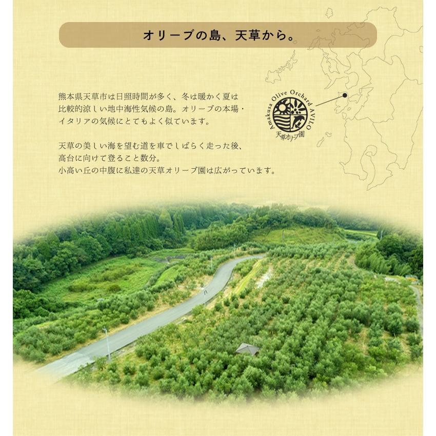 天草オリーブ園 天草スペシャルブレンド＆バルサミコ酢セット