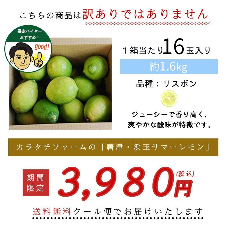 新しいスタイル 販売期間 8月日最終受付 送料無料 皮ごと使える 国産レモン 16玉 約1 6kg リスボン 7月11日より順次発送 カラタチファーム 唐津 浜玉サマーレモン Aynaelda Com