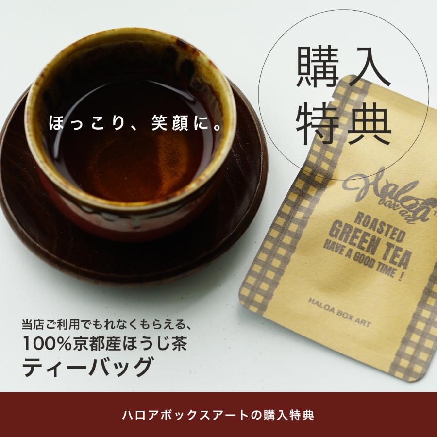 後払い手数料無料 スーツケース フロントオープン型 中型 2年保証 60l Trio トリオ Cargo Air Layer カーゴエアレイヤー Cat648ly ジッパータイプ 父の日 Cisama Sc Gov Br