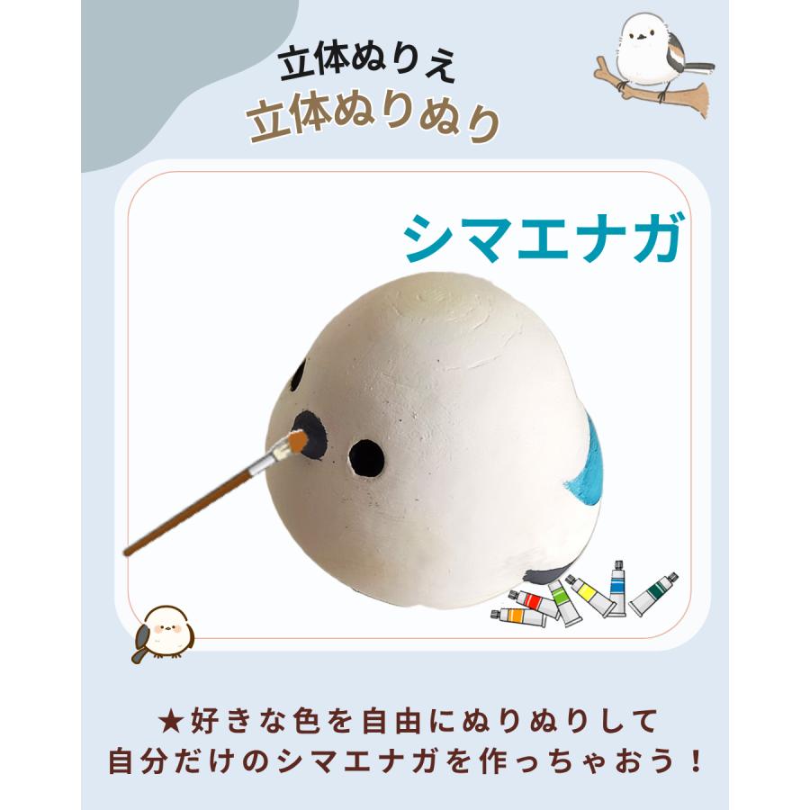 「立体ぬりぬり」シマエナガ フィギュア 置物 人気者 みんな大好き 夏休み自由工作 ぬりえ 立体ぬりえ 絵の具 色ぬり |  | 02