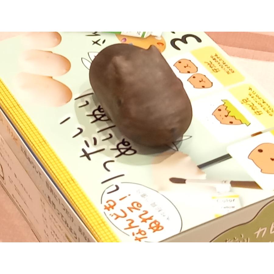 「りったいぬりぬり カピバラさん」真っ白なカピバラさんに色ぬりして 世界に1つ 自分だけのカピバラさんを作ろう！ |  | 03