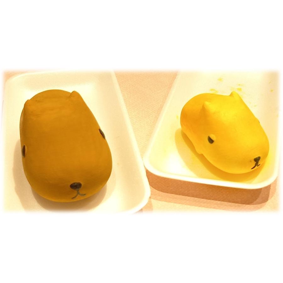 「りったいぬりぬり カピバラさん」真っ白なカピバラさんに色ぬりして 世界に1つ 自分だけのカピバラさんを作ろう！ |  | 04