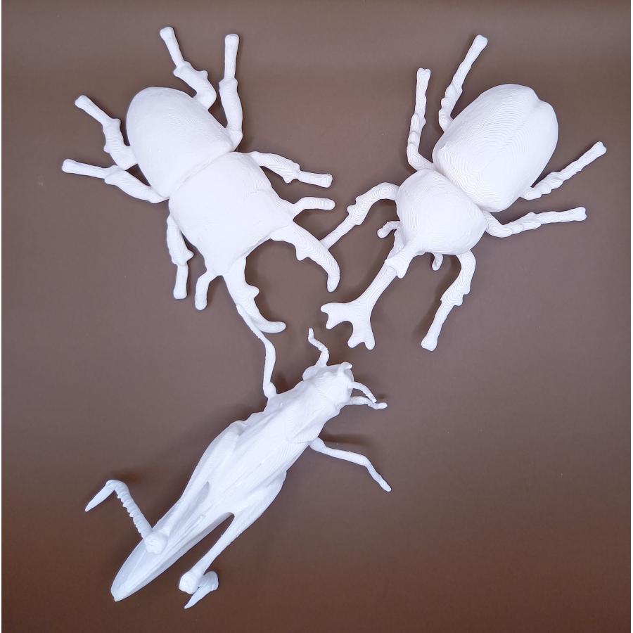 立体ぬりえ 昆虫 カブトムシ クワガタ バッタ 「立体ぬりぬり」 フィギュア 自由に 世界に1つ 自分だけ フィギュア |  | 09