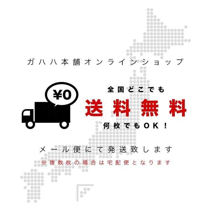 恥を知れ おもしろtシャツ 面白 お揃い デザイン プリント メッセージ ロゴ パロディ 大きいサイズ 安い 面白tシャツ屋 | United Athle | 12