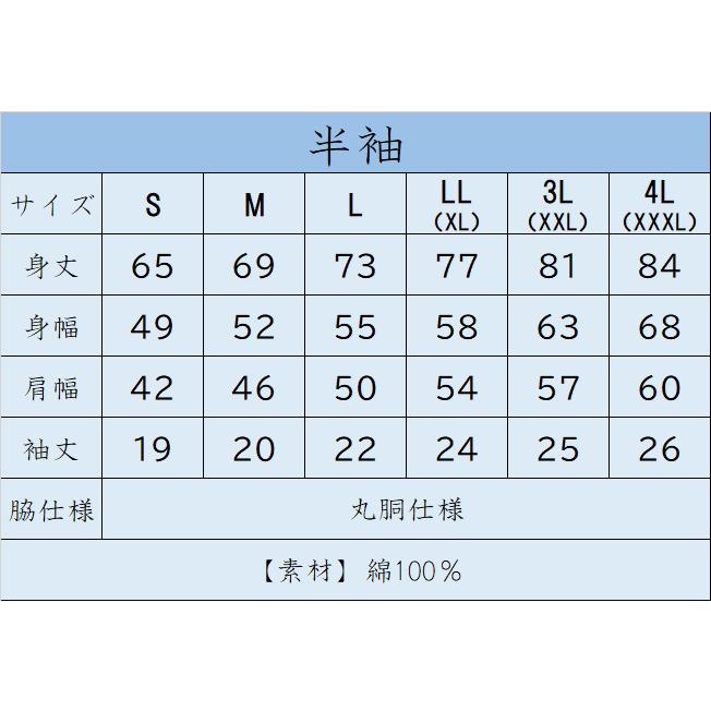 世界自然遺産奄美大島　ガハハ本舗　おもしろ　Tシャツ　奄美大島　沖縄　世界遺産　方言　記念　大きいサイズ | ブランド登録なし | 03