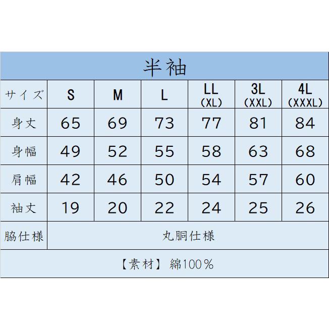 アマミオオガエル　ガハハ本舗　おもしろ　Tシャツ　奄美大島　沖縄　世界遺産　方言　記念　大きいサイズ | ブランド登録なし | 03