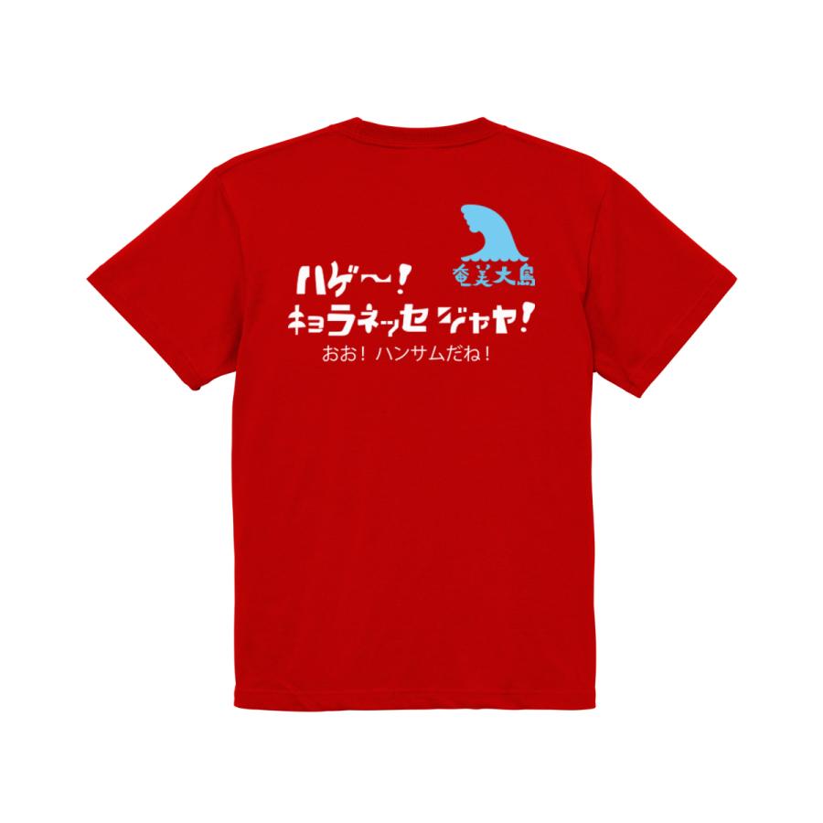 ハゲ〜！キョラネッセジャヤ！　ガハハ本舗　おもしろ　Tシャツ　奄美大島　沖縄　世界遺産　方言　記念　大きいサイズ | ブランド登録なし
