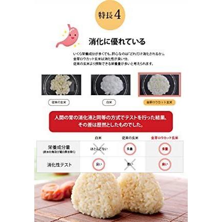 東洋ライス 金芽 ロウカット玄米 無洗米 4kg(2kgx2袋) 送料込 東洋ライス 金芽 ロウカット玄米 無洗米 4kg(2kgx2袋) 送料込