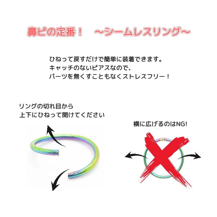 鼻ピアス 鼻ピ ノーズピアス ボディピアス シームレスリング リング セグメント 20g 20G サージカルステンレス |  | 01