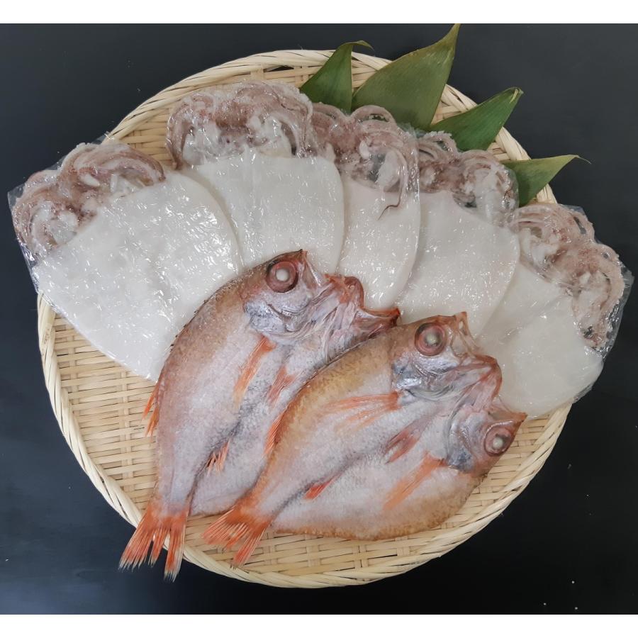 浜の匠さくら　のどぐろと白いかセット　日本海であけぼの丸が漁獲した200ｇの大型のどぐろに人気の白いかを加えました！　ご贈答に最適！！｜hamada-ak