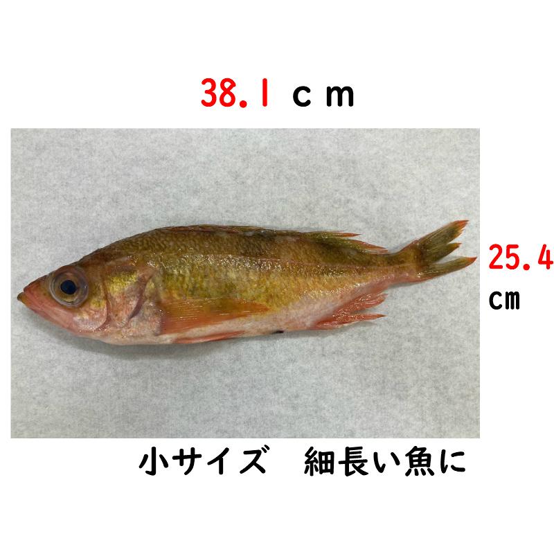 ホワイトパーチ 魚を包む白の紙 保鮮紙 ミートペーパー 耐湿紙 熟成 津本式 血抜き 8切り381×254ｍｍ 500枚｜hamada