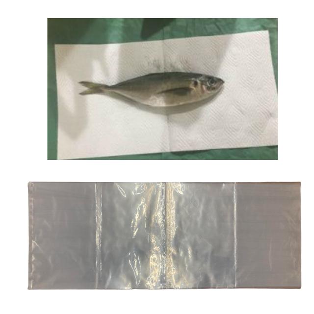 おさかなパックン 魚用ポリ袋 ボックス型グリーンパーチ 50ｍ キッチンペーパー３点セット 熟成 津本式 血抜き ナイロン100枚 キッチンペーパー2R【セット販売】 |  | 04