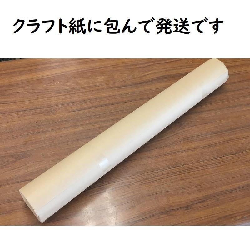 グリーンパーチ ロール 20m カッター付き 　おさかなパックン　魚を包む緑の紙 耐水紙 耐湿紙 |  | 05